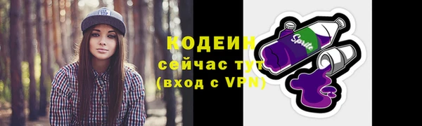 apvp Горнозаводск